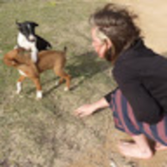 Meet your Posher, Rowan - Picture 1 of 1